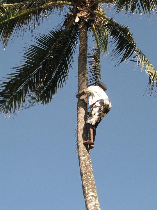 Kenya 216